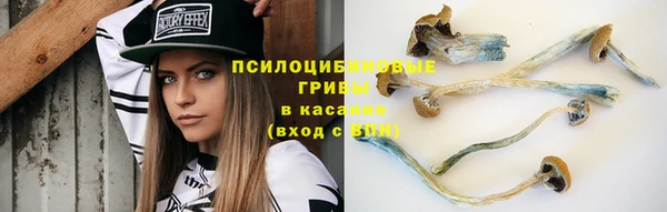 гидропоника Алексин